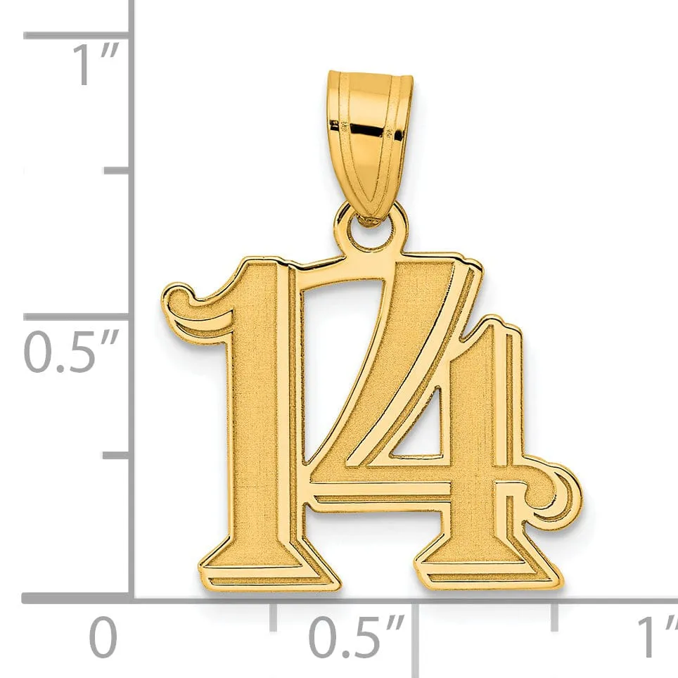 14k Yellow Gold Polished Etched Finish Number 14 Charm Pendant