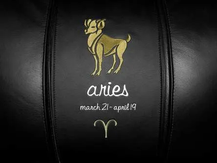 Aries Tan Logo Panel