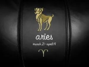 Aries Tan Logo Panel