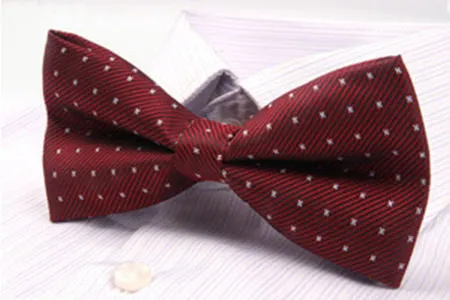 Classy Men Bow Tie Fancy