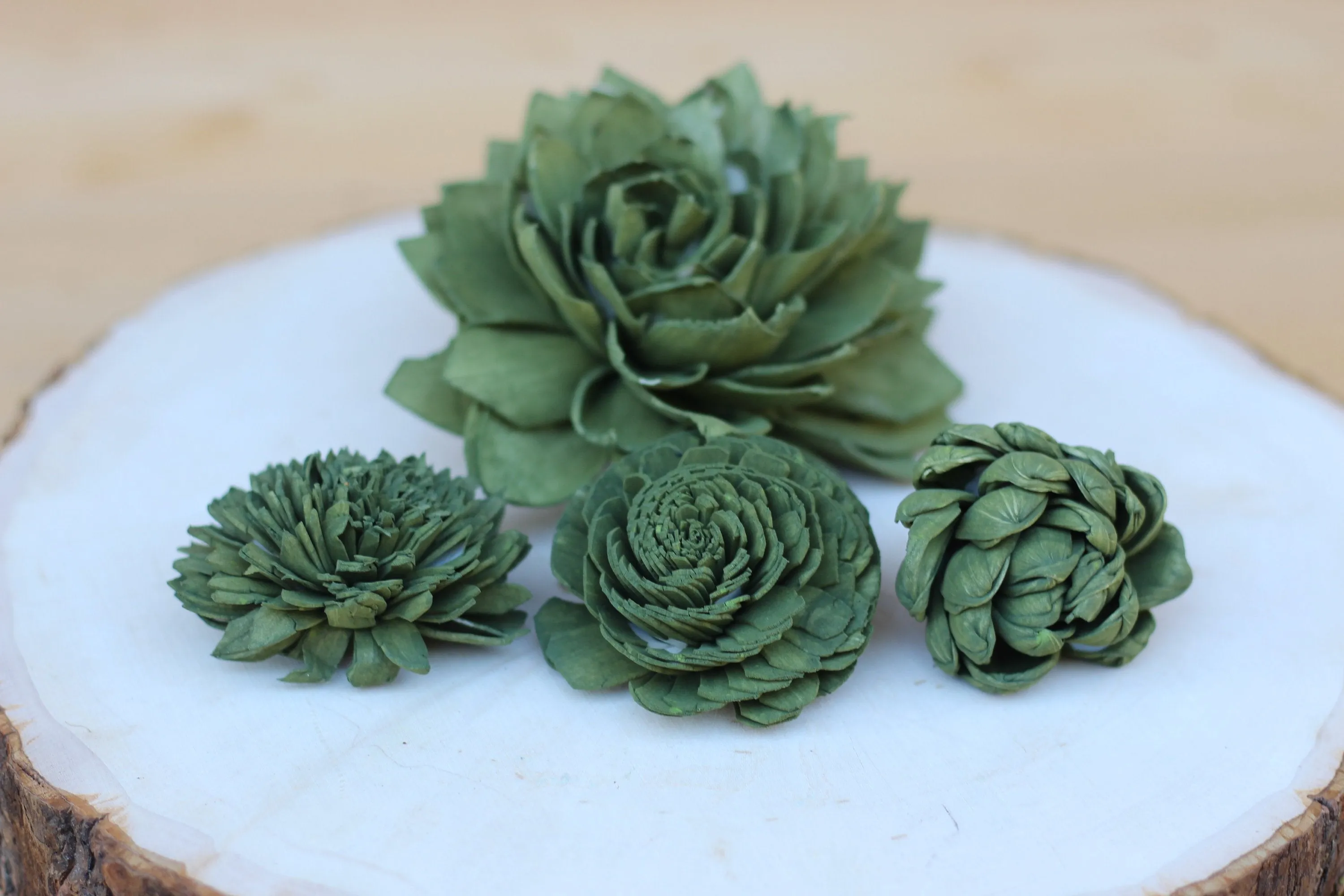 Olive Green Sola Wood Succulents