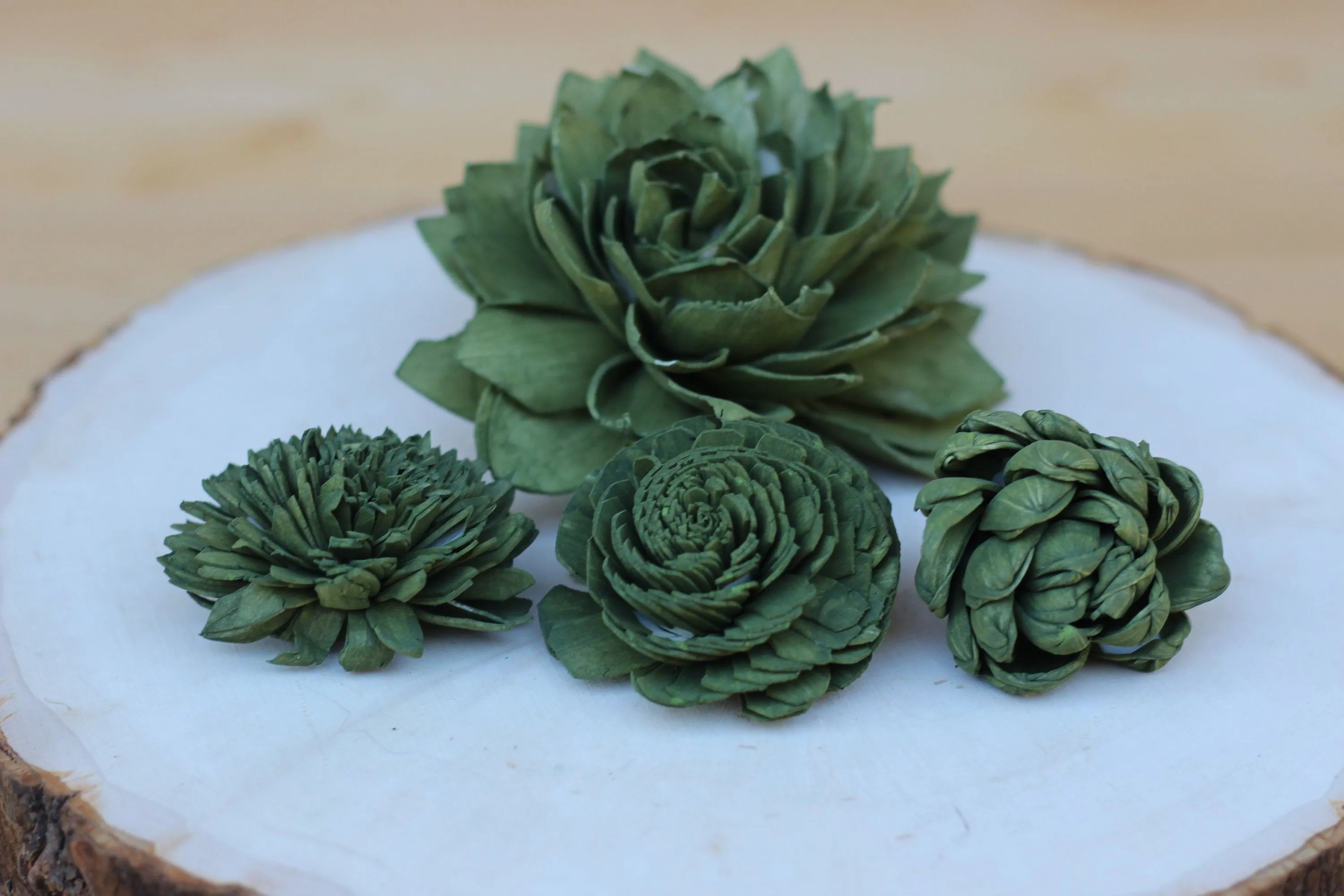 Olive Green Sola Wood Succulents