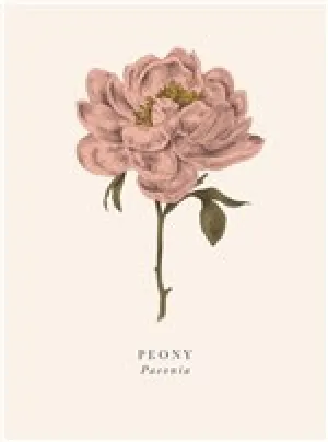 Peony Card