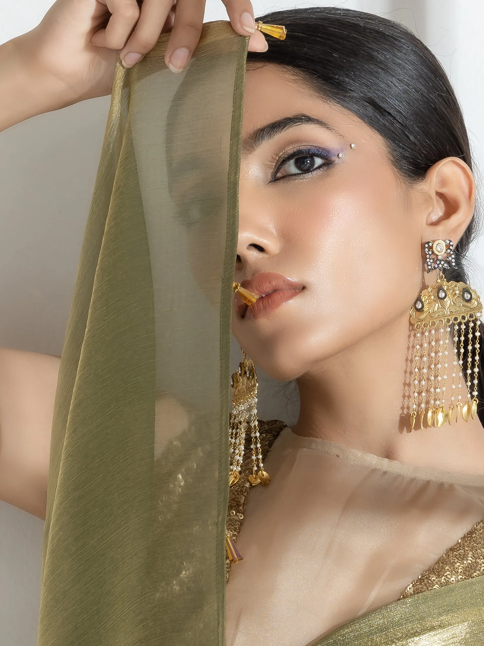 Wasabi Organza Chiffon Saree with Beads with Self Blouse Fabric