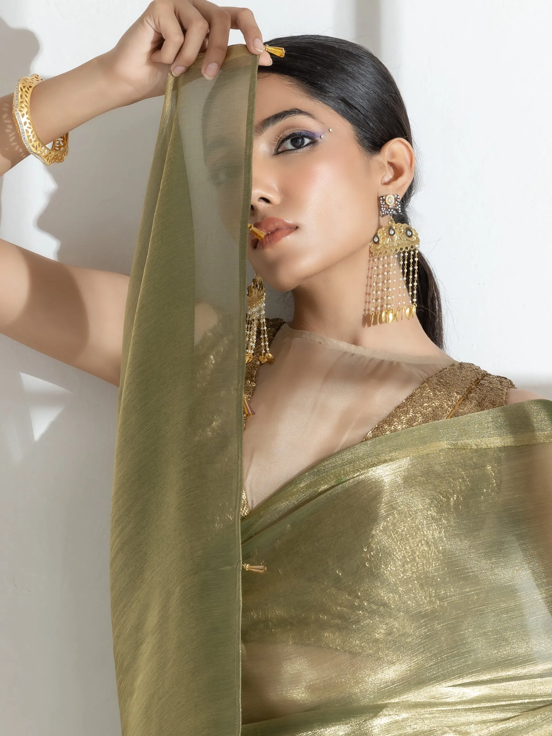 Wasabi Organza Chiffon Saree with Beads with Self Blouse Fabric